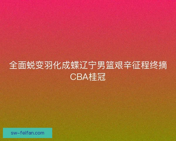 全面蜕变羽化成蝶辽宁男篮艰辛征程终摘CBA桂冠